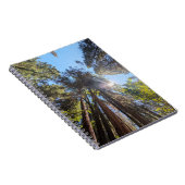 Zonlicht door de bomen notitieboek (Rechterzijde)