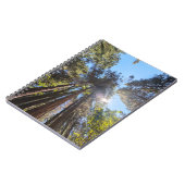 Zonlicht door de bomen notitieboek (Linkerzijde)