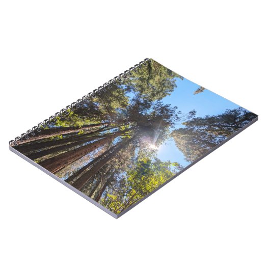 Zonlicht door de bomen notitieboek (Linkerzijde)