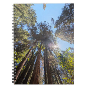 Zonlicht door de bomen notitieboek