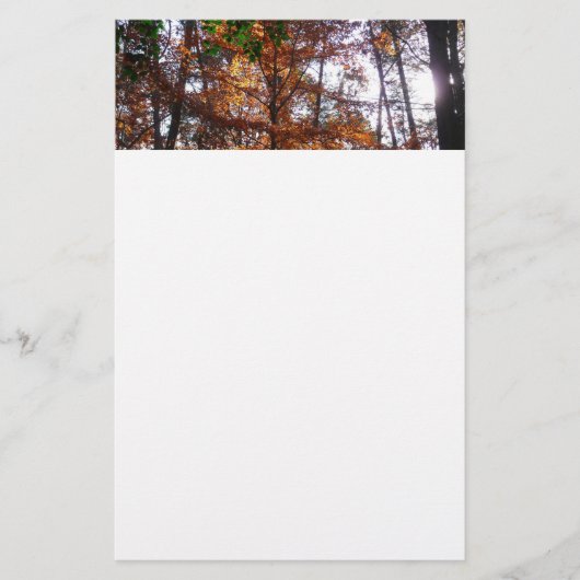 Zonlicht door de Herfst bij Greenbelt Briefpapier (Voorkant)