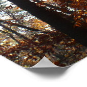 Zonlicht door de Herfst bij Greenbelt Poster (Hoek)