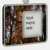 Zonlicht door de Herfst bij Greenbelt Verzilverd Omlijst Ornament (Rechts)