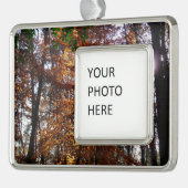 Zonlicht door de Herfst bij Greenbelt Verzilverd Omlijst Ornament (Links)