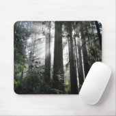 Zonlicht door de kustmammoetbomen muismat (Met muis)