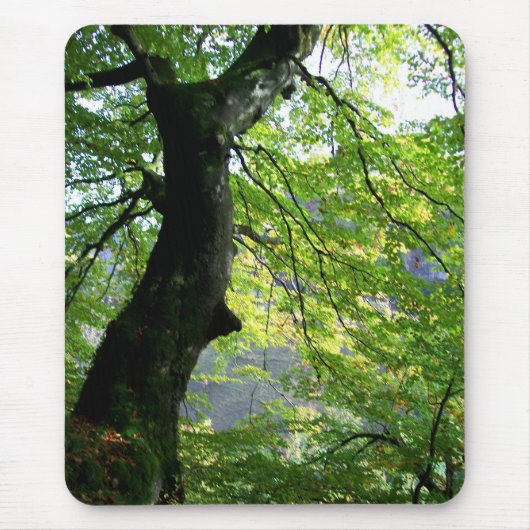 Zonlicht door de Leaves Mousepad Muismat (Voorkant)