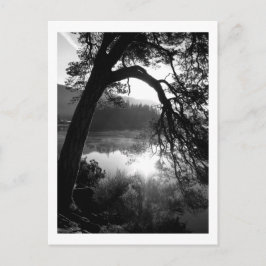 Zonlicht door de Pijnen, Derwentwater Briefkaart