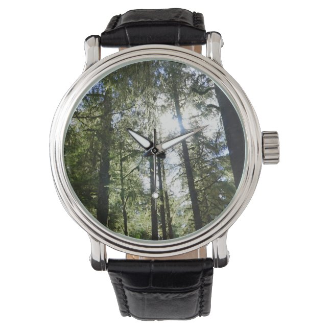 Zonlicht door dennenbomen horloge (Voorkant)