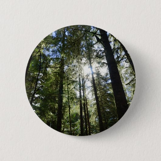 Zonlicht door dennenbomen ronde button 5,7 cm (Voorkant)
