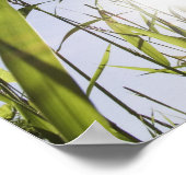 Zonlicht door gras poster (Hoek)