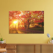Zonlicht door herfst rode ahornbomen canvas afdruk (Insitu (Woonkamer))