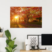 Zonlicht door herfst rode esdoornbomen poster (Thuiskantoor)
