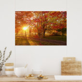 Zonlicht door herfst rode esdoornbomen poster (Keuken)