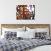 Zonlicht door herfstboom bij Greenbelt Canvas Afdruk (Insitu (Slaapkamer))