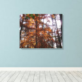 Zonlicht door herfstboom bij Greenbelt Canvas Afdruk (Insitu (Houten vloer))
