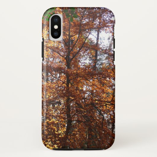 Zonlicht door herfstboom bij Greenbelt Case-Mate iPhone Case (Achterkant)
