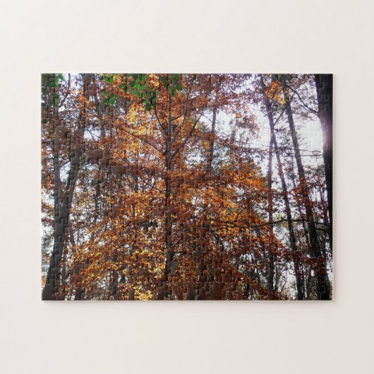Zonlicht door herfstboom bij Greenbelt Legpuzzel (Horizontaal)