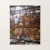 Zonlicht door herfstboom bij Greenbelt Legpuzzel (Verticaal)