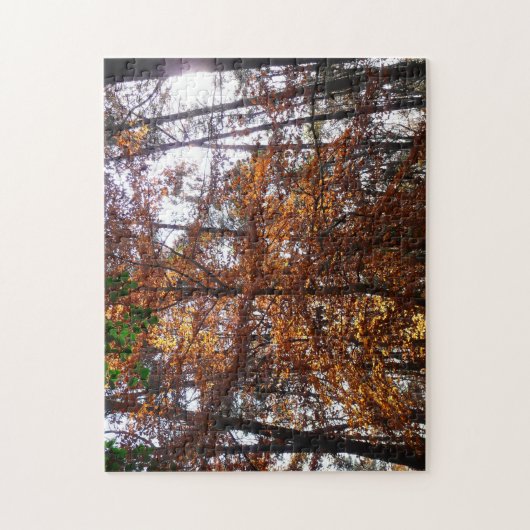 Zonlicht door herfstboom bij Greenbelt Legpuzzel (Verticaal)