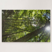 Zonlicht door het bosdak legpuzzel (Horizontaal)