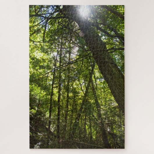 Zonlicht door het bosdak legpuzzel (Verticaal)