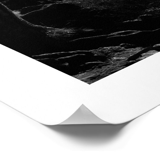 Zonlicht door het Poster Pines (Hoek)