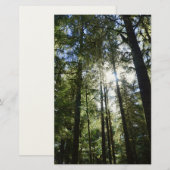 Zonlicht door pijnbomen briefpapier (Voorkant / Achterkant)