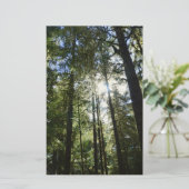 Zonlicht door pijnbomen briefpapier (Staand voorkant)