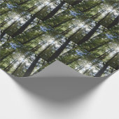 Zonlicht door pijnbomen cadeaupapier (Hoek)