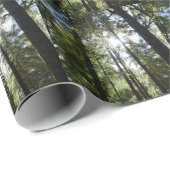 Zonlicht door pijnbomen cadeaupapier (Rol Hoek)