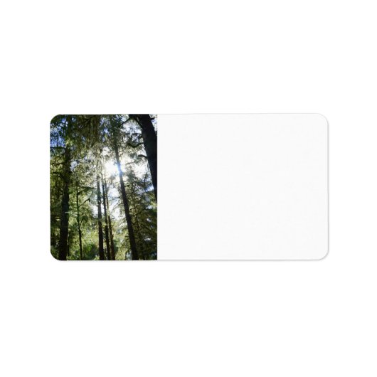 Zonlicht door pijnbomen etiket (Voorkant)