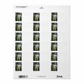 Zonlicht door pijnbomen etiket (Full Sheet)