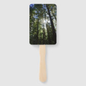 Zonlicht door pijnbomen handwaaier (Achterkant)