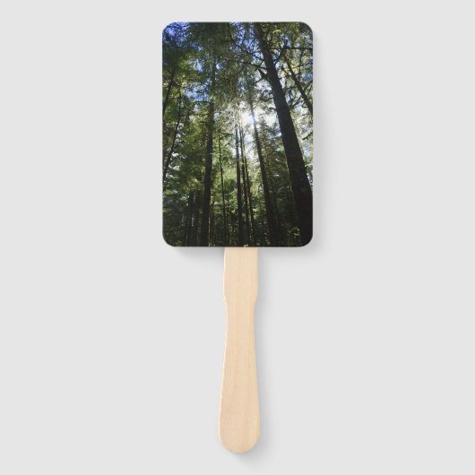 Zonlicht door pijnbomen handwaaier (Voorkant)