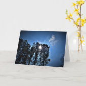 Zonlicht door pijnbomen, kaart (Gele Bloem)