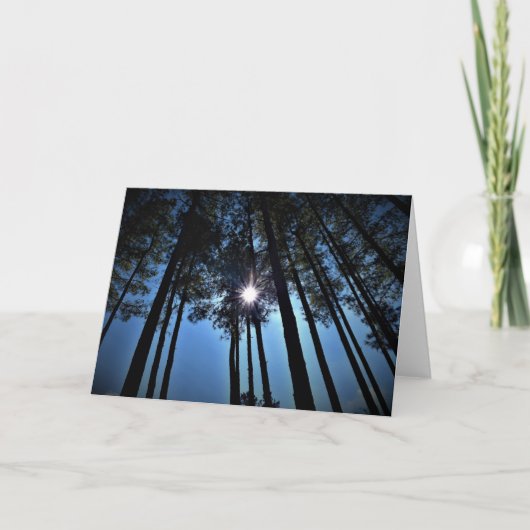 Zonlicht door pijnbomen, kaart (Voorkant)