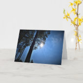 Zonlicht door pijnbomen, kaart (Gele Bloem)