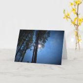 Zonlicht door pijnbomen, kaart (Gele Bloem)