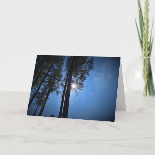 Zonlicht door pijnbomen, kaart (Voorkant)
