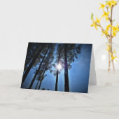 Zonlicht door pijnbomen, kaart (Gele Bloem)