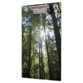 Zonlicht door pijnbomen klembord (Links)