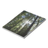 Zonlicht door pijnbomen notitieblok (Linkerzijde)