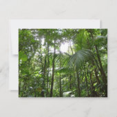 Zonlicht door regenwoud Kanopie Tropisch Groen (Voorkant)