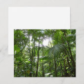 Zonlicht door regenwoud Kanopie Tropisch Groen (Voorkant / Achterkant)
