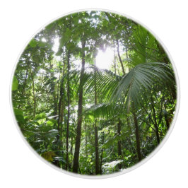 Zonlicht door regenwoud Kanopie Tropisch Groen Keramische Knop