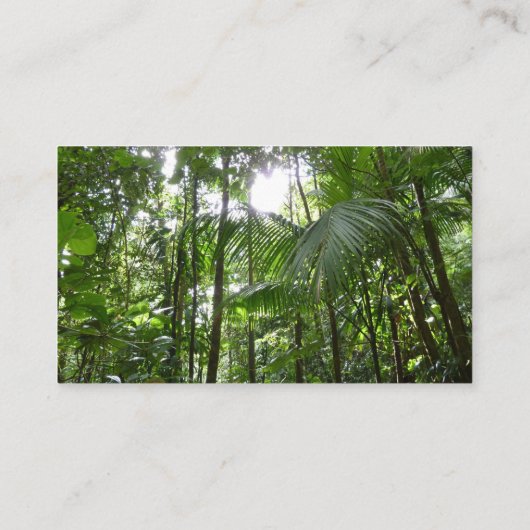 Zonlicht door regenwoud Kanopie Tropisch Groen Visitekaartje (Achterkant)