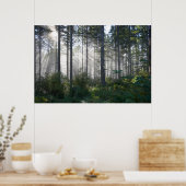Zonlicht doorbreken door een misterig bos poster (Keuken)