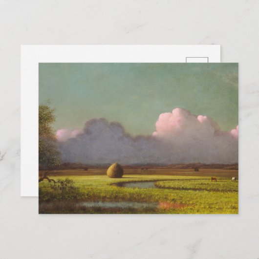 Zonlicht en schaduw, de Newbury Marshes Briefkaart (Voorkant / Achterkant)