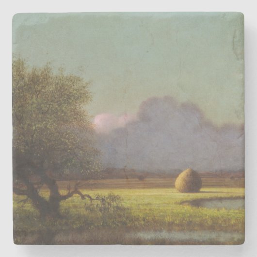 Zonlicht en schaduw: De Newbury Marshes Stenen Onderzetter (Voorkant)