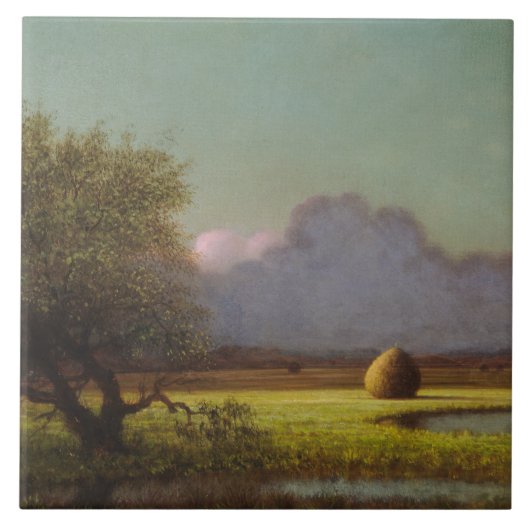 Zonlicht en schaduw: De Newbury Marshes Tegeltje (Voorkant)